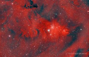 NGC 2264 - Hα-Bild mit farblosen Sternen