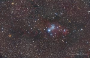 NGC 2264 - RGB-Bild mit bunten Sternen