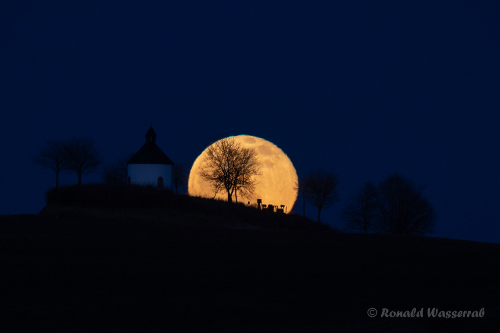 Der Rastplatz und der Baum sind vom Mond umschlossen...