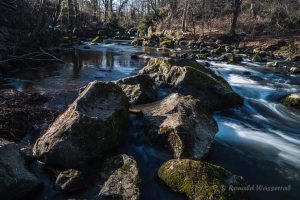 Nette im Rauscherpark