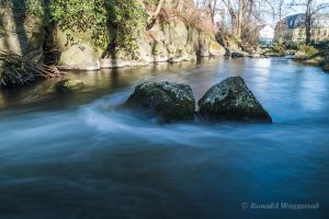 Nette im Rauscherpark