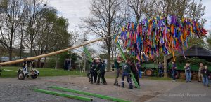 Die Kanthölzer sind die "verlängerten Arme" - Mainacht in Gey