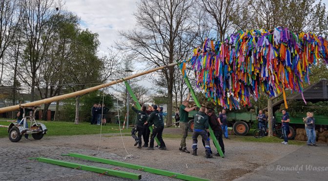 Mainacht in Gey – Ein Fest für das ganze Dorf