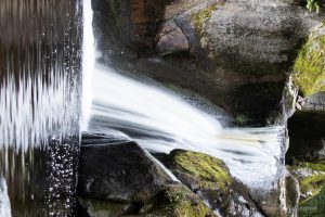 Höchenschwand 2023: Wie fließt denn hier das Wasser?