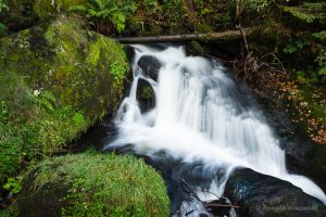 Höchenschwand 2023: Wasserfall Triberg