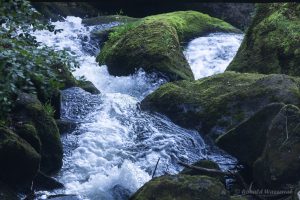 Höchenschwand 2023: Wasserfall Triberg