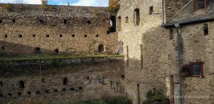 Revier des Mauerläufers in der Burg Rheinfels