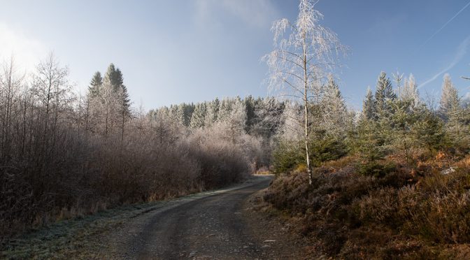 An der Statte in Belgien – Cascade, Schaumkreise und Haareis