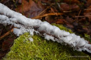 Haar-Eis an der Statte