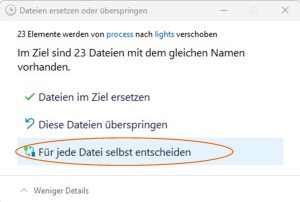 Bei Nachfrage „Für jede Datei selbst entscheiden“ wählen