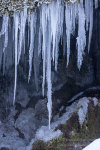 Die Eiszapfen sehen wie überdimensionierte Zähne aus