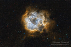 NGC 2244 - Rosettennebel (Duo-Narrowband-Aufnahme HOO-Bearbeitung)