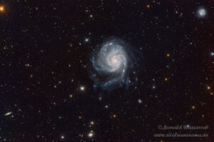 Galaxien-Saison: Messier 101 Feuerrad-Galaxie