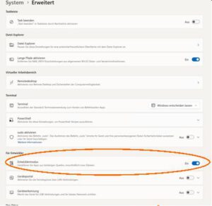 Windows 11 - Entwicklermodus einschalten
