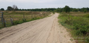 Viel Sand auf den Wegen in der Döberitzer Heide