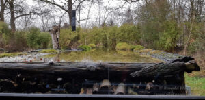 Blick auf den künstlichen Teich an der Eisvogelhütte