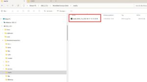 Ergebnis im Verzeichnis "results"