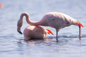Annäherungsversuche...