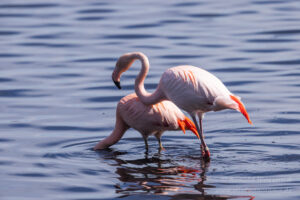 Annäherungsversuche...