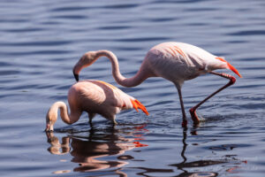 Annäherungsversuche...