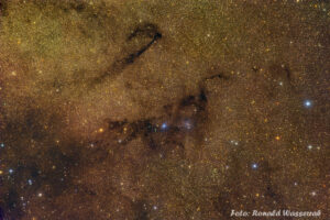 vdB126, der Nessie-Nebel