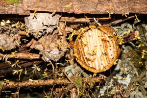 Bienenkorb in der Landschaftskrippe Höfen