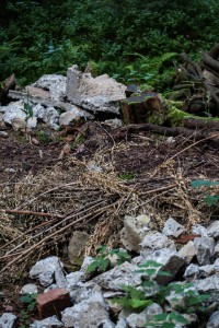 Bauschutt am Orchideenwuchsort im Tiefenhäuserner Moor