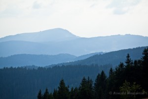 Wandern überm Himmelreich - Belchen vom Feldberg aus