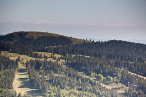 Blick vom Feldberg Richtung Herzogenhorn und Alpen