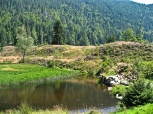 Klause Menzenschwand