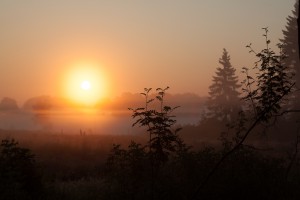 Morgenstimmung im Kranzbruch - die Morgensonne hat sich durch den Nebel gekämpft