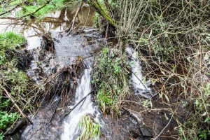 Wanderung - Unkontrollierter Wasserabfluss am zerstörten Biberdamm