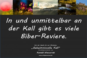 04  - Biber-Reviere 