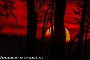 04-01 Sonnenaufgang an der jungen Kall 