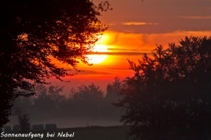 05-01 Sonnenaufgang bei Nebel 