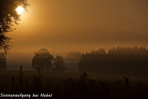 05-02 Sonnenaufgang bei Nebel 