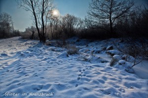 09-01 Winter im Kranzbruch 