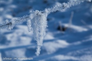 09-02 Winter im Kranzbruch 