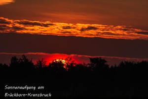 10-01 Sonnenaufgang im Kranzbruch 