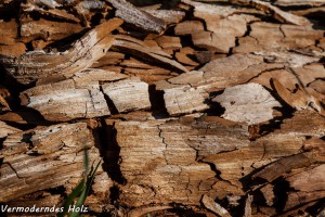 10-15 Vermoderndes Holz 