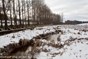 13-06 Westwallweg an der Kall bei Bickerath 