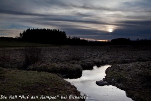 13-10 Kall Auf den Kempen 