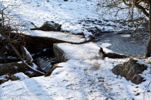 14-01 Natursteinbruecke ueber die Kall