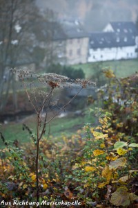 18-08 Von der Marienkapelle aus