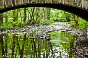 19-04 Bruecke an der Teufelsley