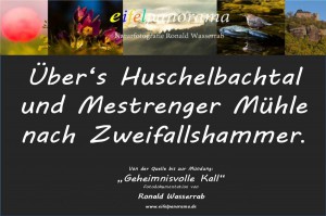 20 - Ueber Huschelbachtal nach Zweifallshammer