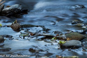 21-01 Kall bei Zweifallshammer