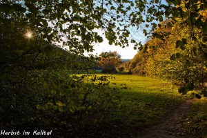 23-01 Herbst im Kalltal