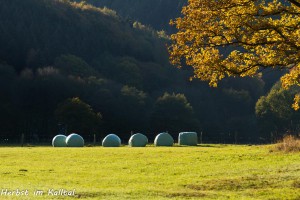 23-02 Herbst im Kalltal