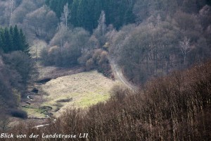 24-02 Blick von der Landstrasse